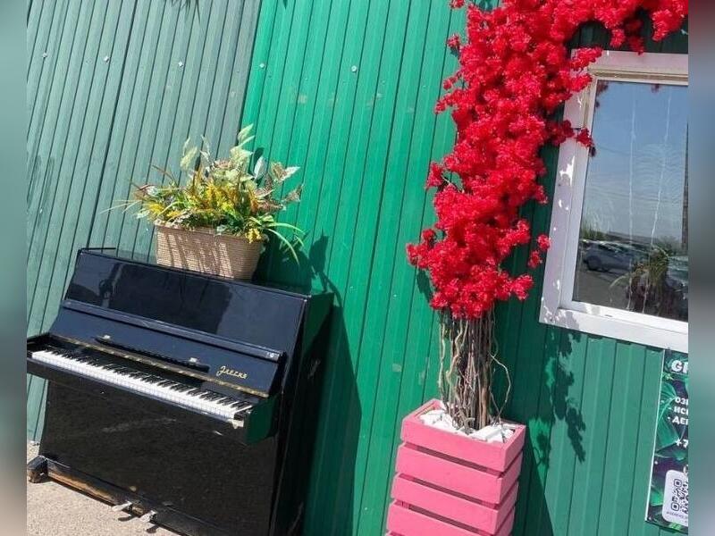 Пианино украли с улицы на КСК