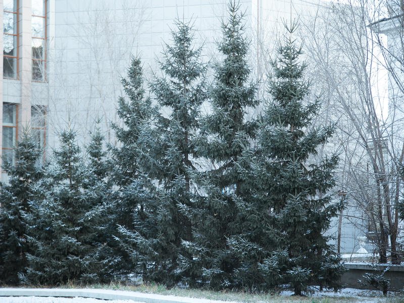 В Забайкалье 11 ноября местами ожидается небольшой снег
