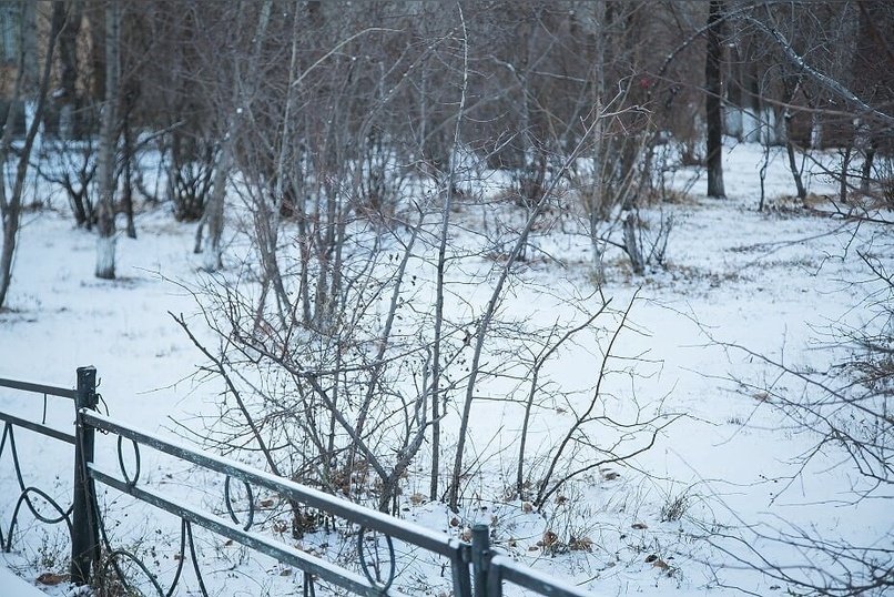 Сильный ветер и метель пообещали Забайкалью