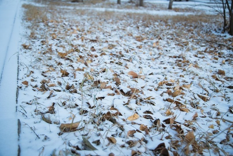 Госинспекция Забайкалья проверяет уборку снега во дворах