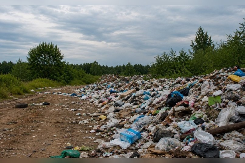 Процесс ликвидации свалок могут начать снимать на видео
