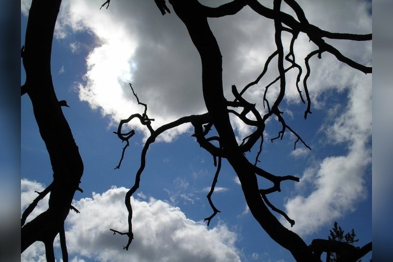 До 36 градусов опустится температура в Забайкалье