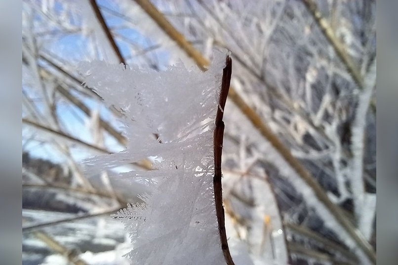 Гороскоп для жителей Забайкальского края на 15 ноября