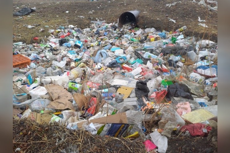 На уборку стихийных свалок в Ингодинском районе потратят 2 млн рублей