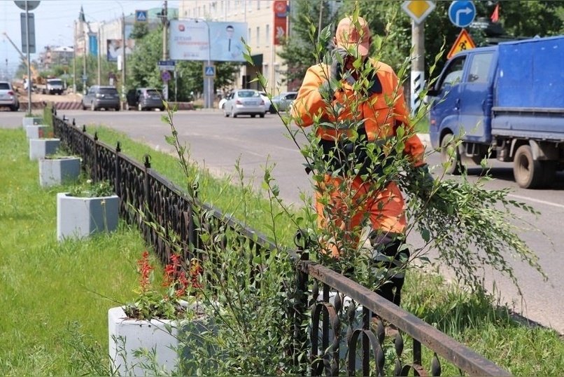 Три сотни деревьев должны высадить на Новобульварной