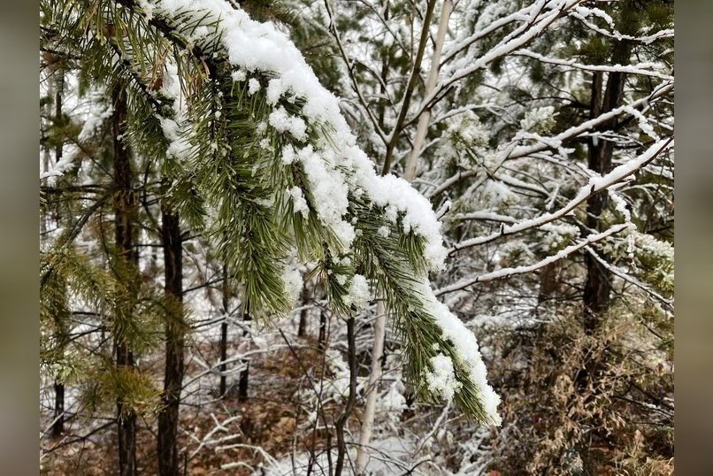 Небольшой снег пообещали Забайкалью