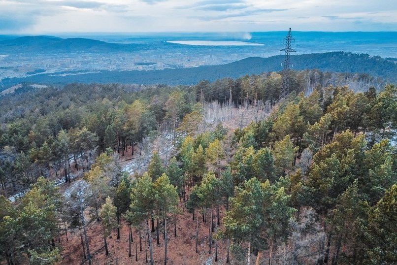 «Россети Сибирь» подготовили электросетевой комплекс Забайкалья к пожароопасному периоду