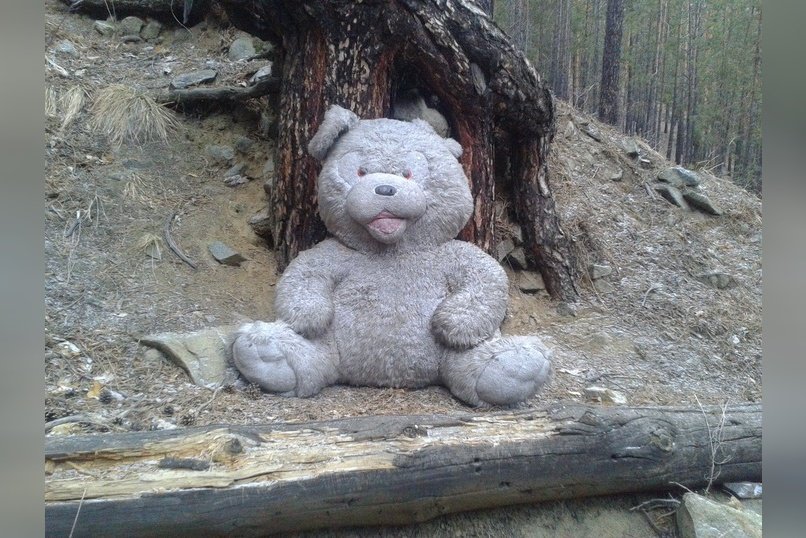 Дом для детей-сирот в Ясногорске снова в центре внимания