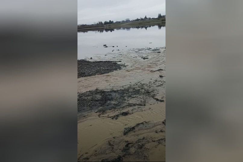 Бастрыкин взял на контроль проверку загрязнения реки в  Забайкалье