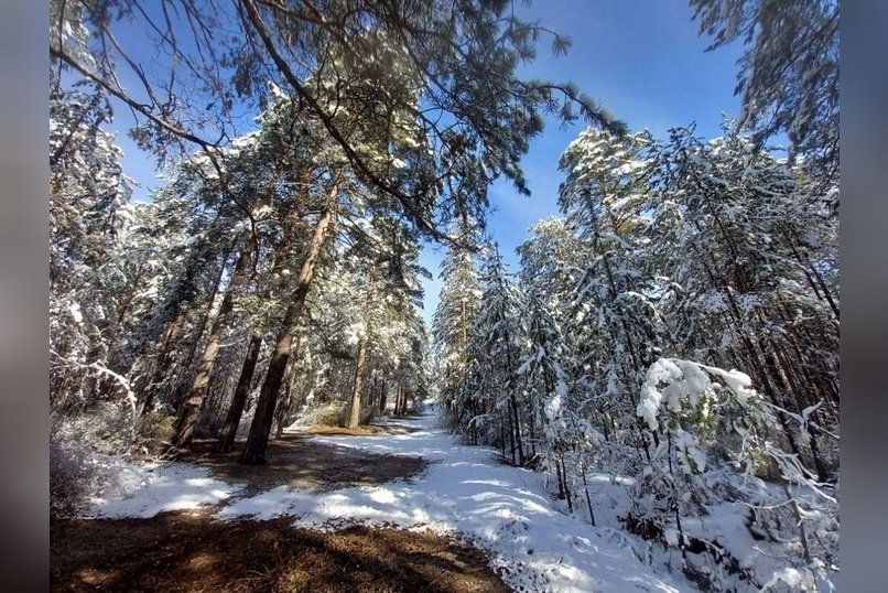 Гороскоп для жителей Забайкальского края на 10 ноября