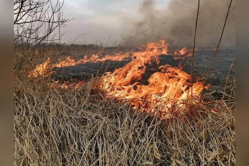 Степной пожар развернулся возле села Иргень