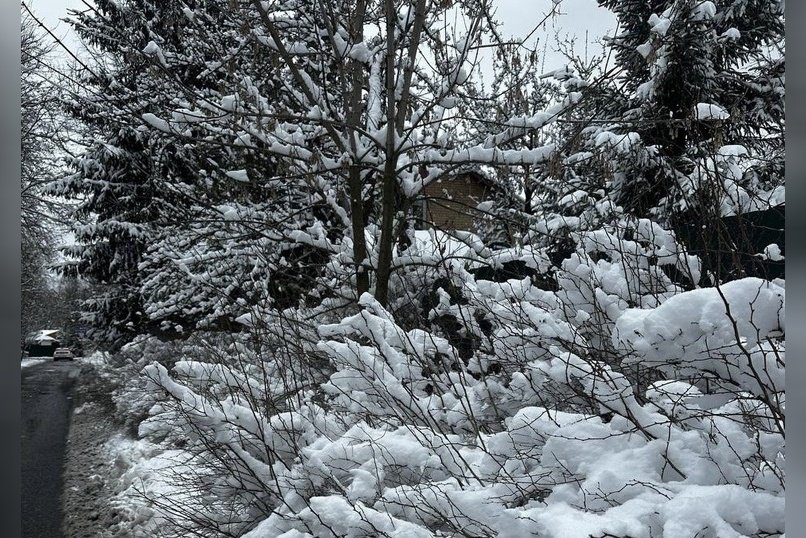 Небольшой снег ожидается завтра в Забайкалье
