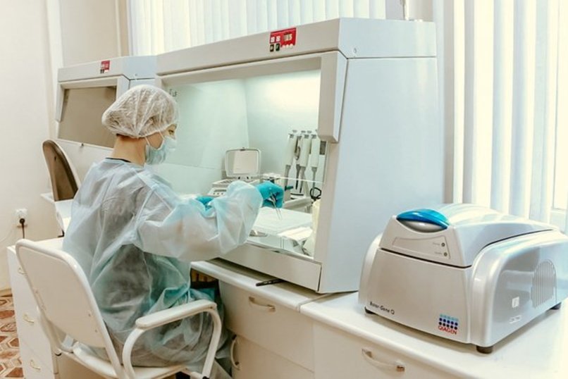 ВОЗ предупредила о распространении нового заразного штамма COVID-19 «ХЕ»