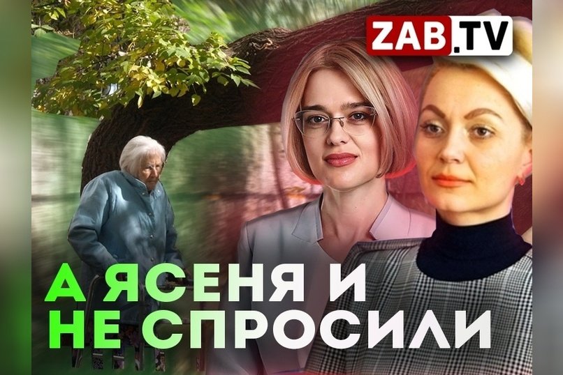 Редкое дерево распилили на Новобульварной 113