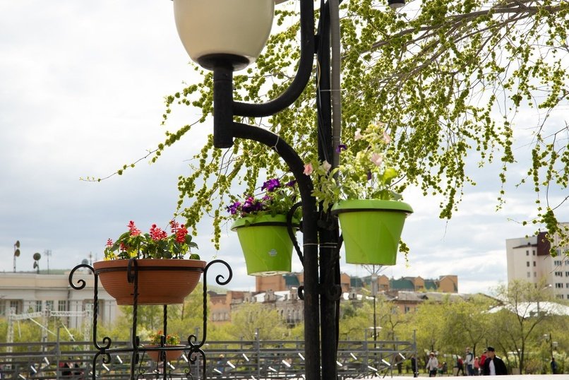 Программные забеги…  на диких туристких тропах