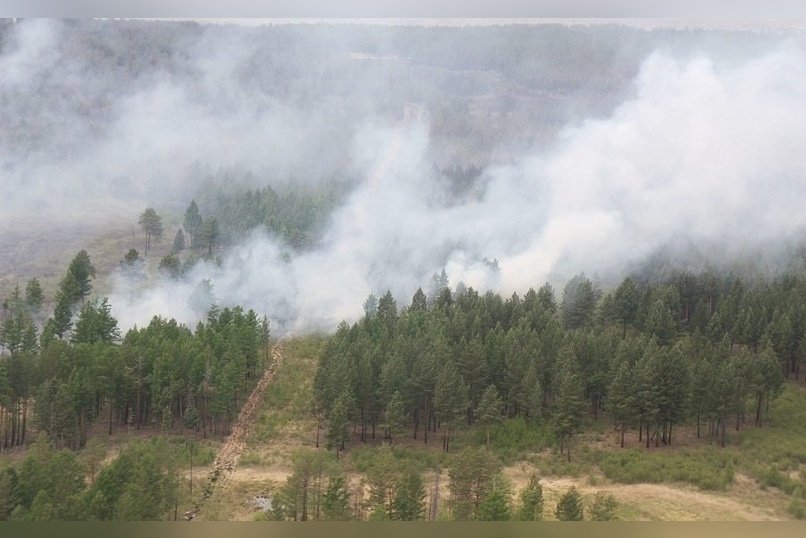 С начала года в Забайкалье произошло 153 лесных пожара, на площади более 6 тысяч гектаров