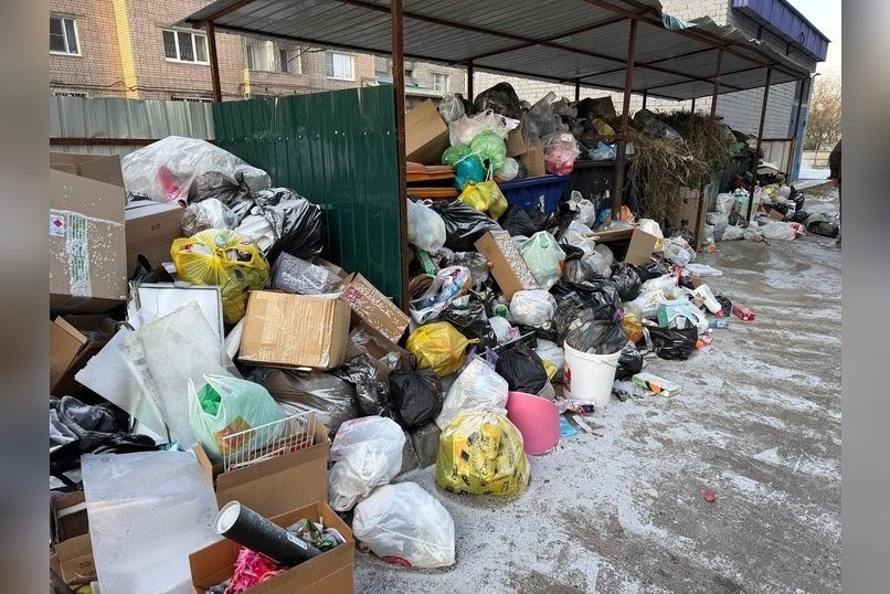 Экоинспекторы проверили жалобы забайкальцев