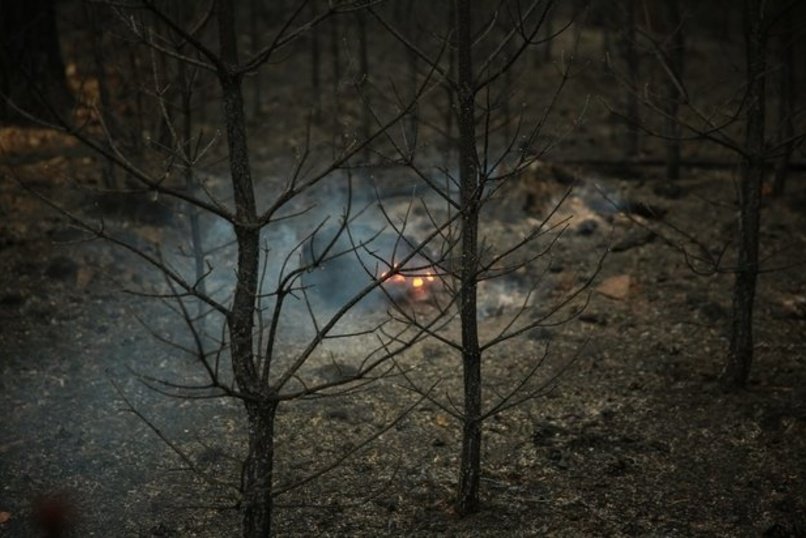 Пожарные 23 раза за сутки выезжали на тушение степных пожаров в Забайкалье