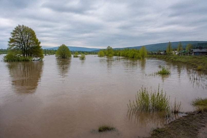 Уровень воды повысился на нескольких реках в Забайкалье