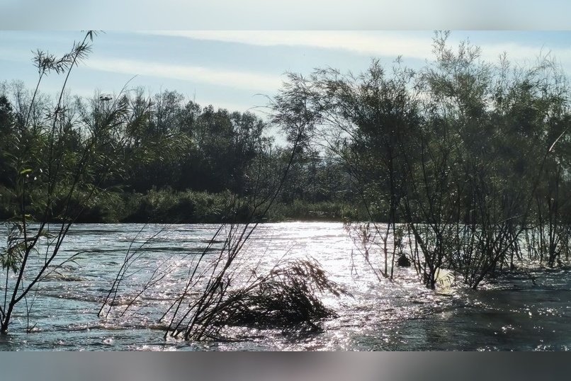 Забайкалье многократно усилило защиту от паводков