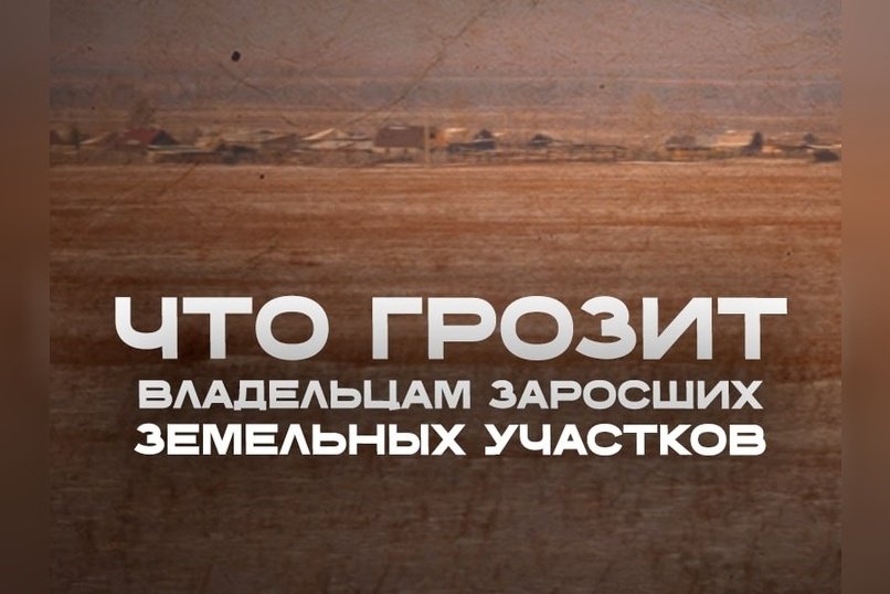 Скосил траву – спас край от огня и себя от штрафа