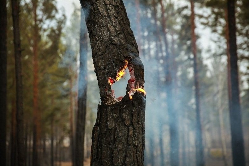 Высокий класс пожарной опасности сохраняется 17 апреля в четырёх районах Забайкалья