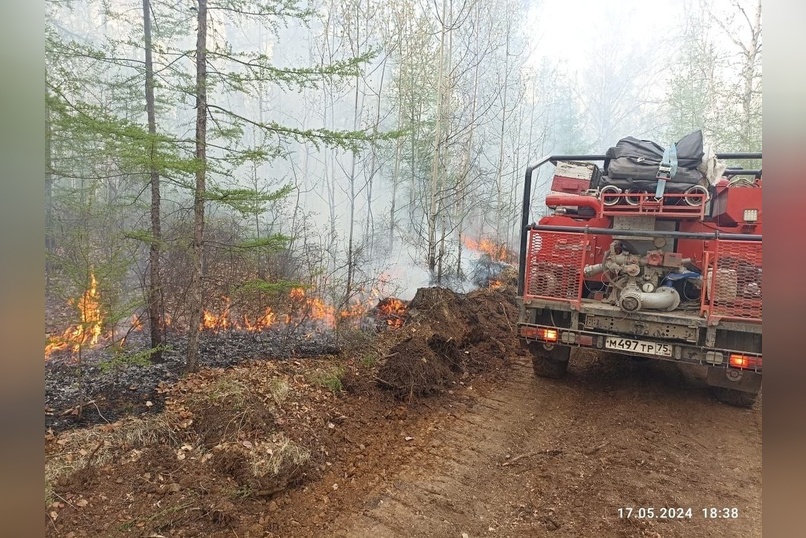 Четыре лесных пожара локализовано в Забайкалье