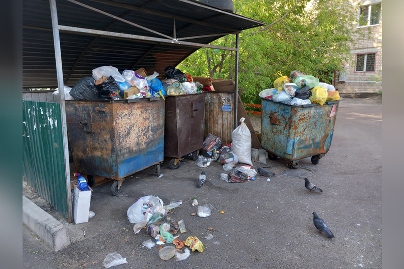 В Чите управляющие компании заплатят за невывоз мусора более миллиона рублей