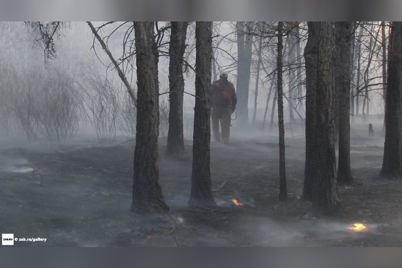 Семь лесных пожаров действуют в Забайкалье