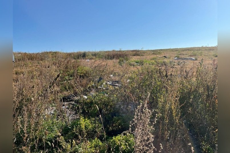 Более 7 тысяч гектаров земли возвращены в сельхозоборот региона