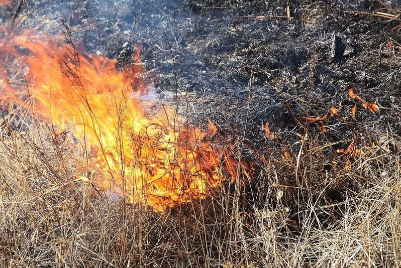 Степной пожар возник в Читинском районе