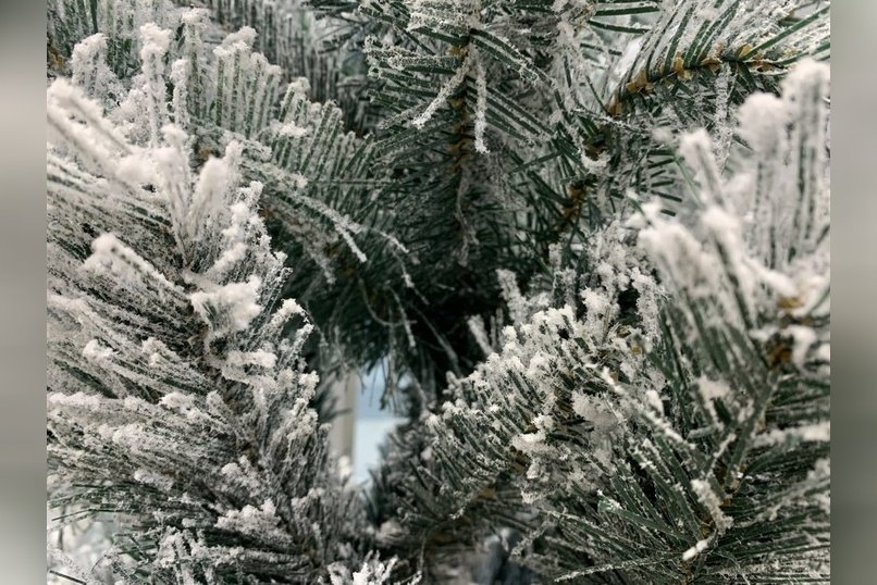 До 13 градусов мороза ожидается днём 5 декабря в Чите