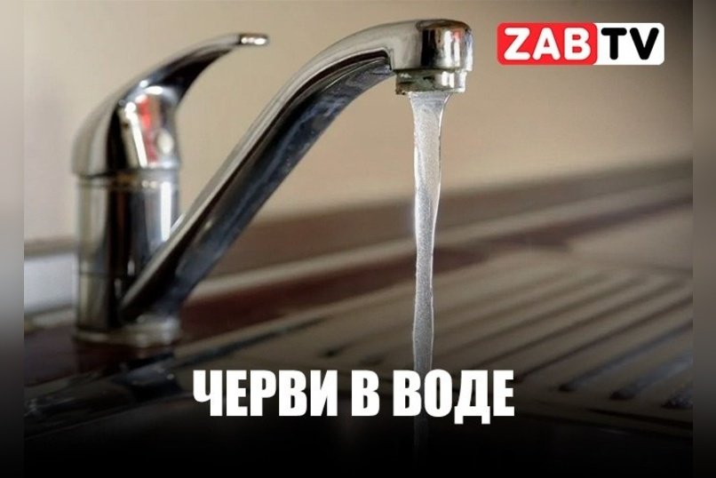 актуальное ЧЕРВИ В ВОДЕ 13 января 2025