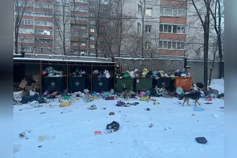 Двор по улице 1-я Московская утопает в мусоре