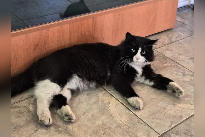 Необычное назначение состоялось в Забайкалье