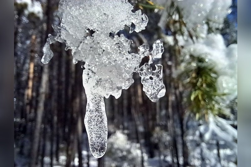 Гороскоп для жителей Забайкальского края на 9 ноября