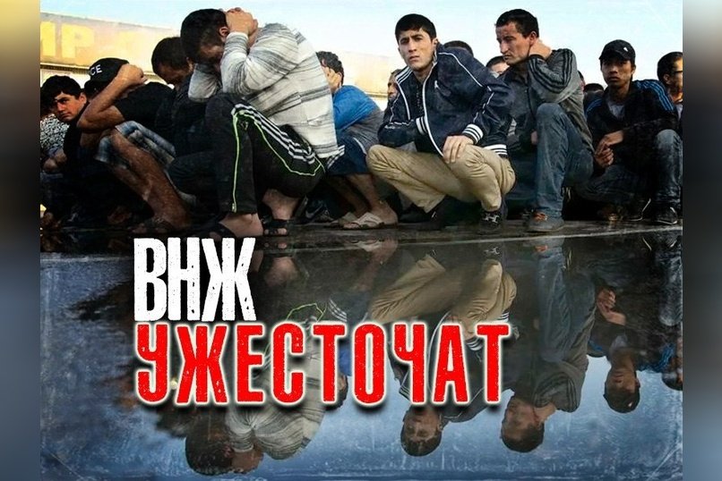 МВД усилит контроль над выдачей видов на жительство в России