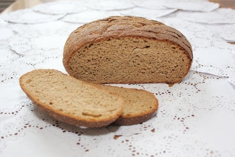 «Это вкусно»: хлеб из мух начали изготавливать в России