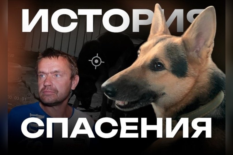 Из собачьего кошмара в добрые руки. Как спасали Черныша от собственного хозяина