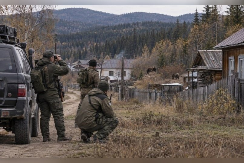 Минприроды: у сёл Забайкалья за сутки ликвидировали четырёх медведей