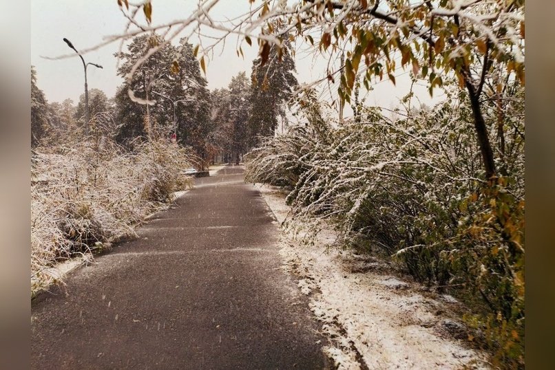 Гороскоп для жителей Забайкальского края на 12 ноября