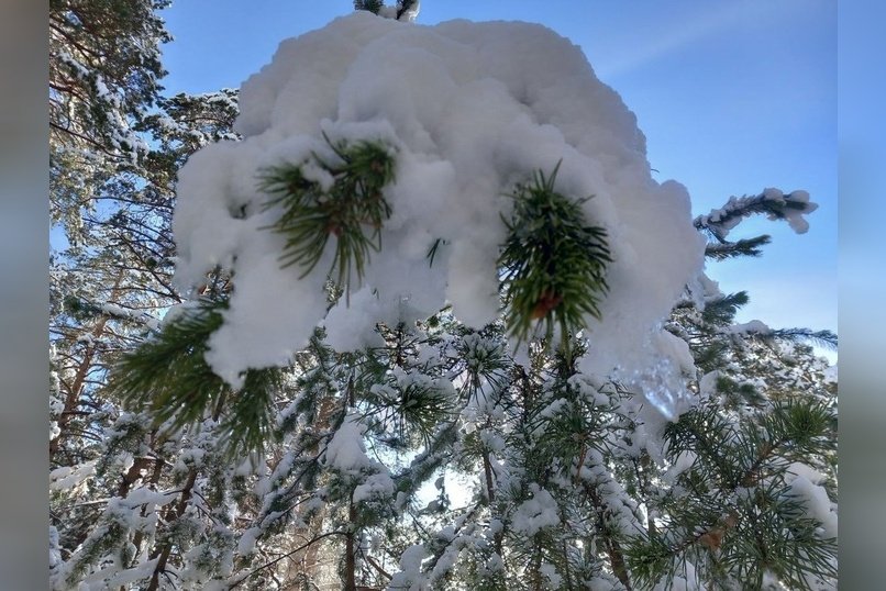 Снег ожидается завтра в Забайкалье