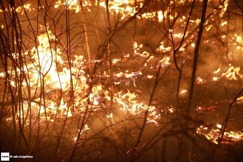 В Забайкалье с виновника пожара хотят взыскать затраты на его тушение