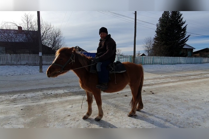 В Чите испуганная лошадь сбила двоих детей на площади Труда