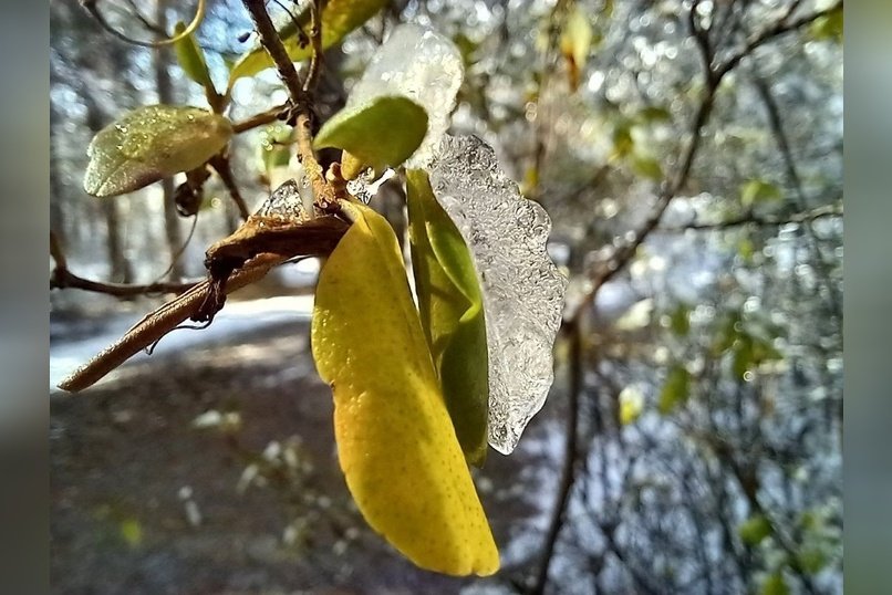 Гороскоп для жителей Забайкальского края на 13 ноября