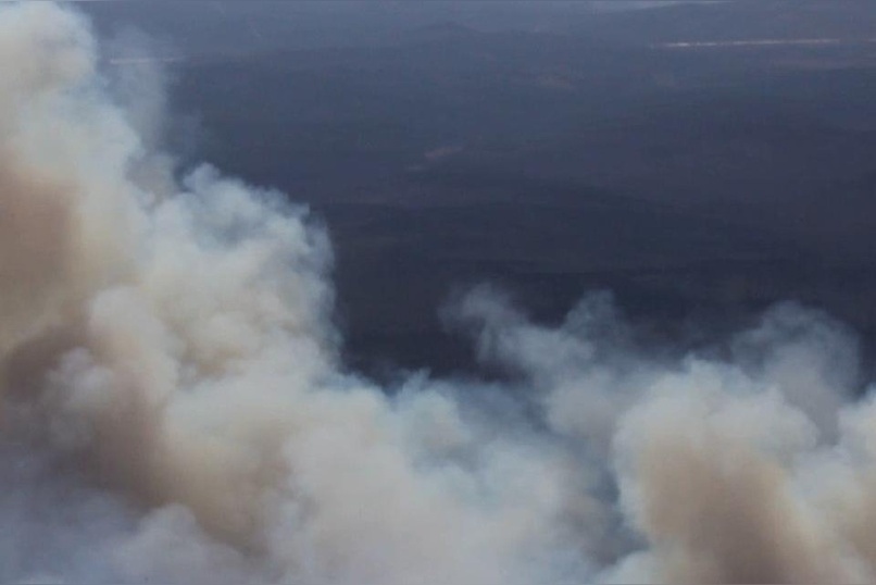 В Забайкальский край направят около 200 лесных пожарных