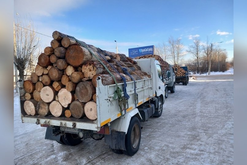 В регионе начнут действовать новые правила транспортировки древесины