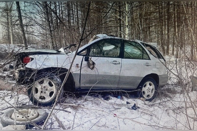 Молодой водитель погиб за рулем иномарки, врезавшись в дерево