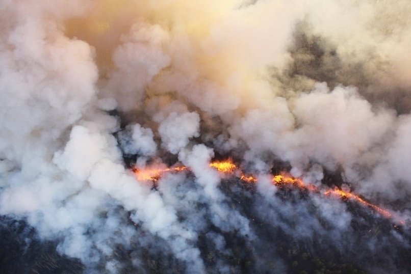 Лесные пожары действуют в семи районах края