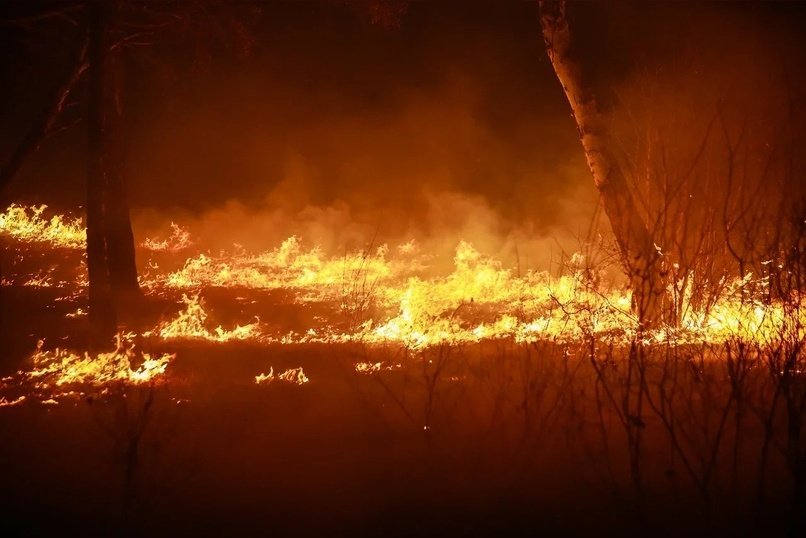 Пожар, уничтоживший более 8 тысяч гектаров Забайкалья, ликвидирован